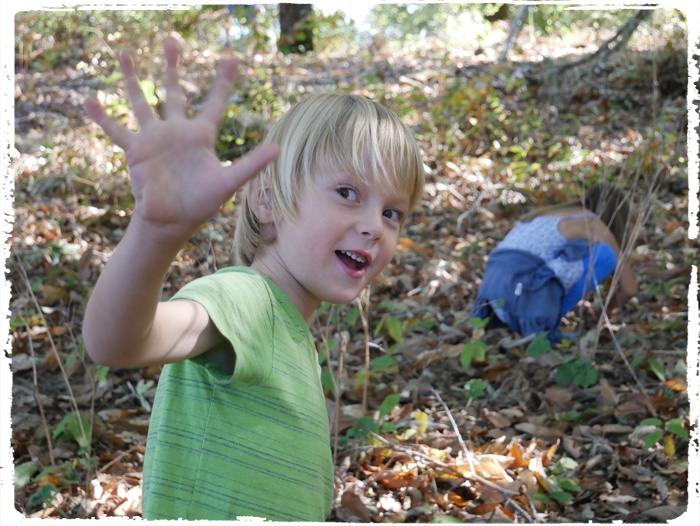 Hey, we are gathering chestnuts!