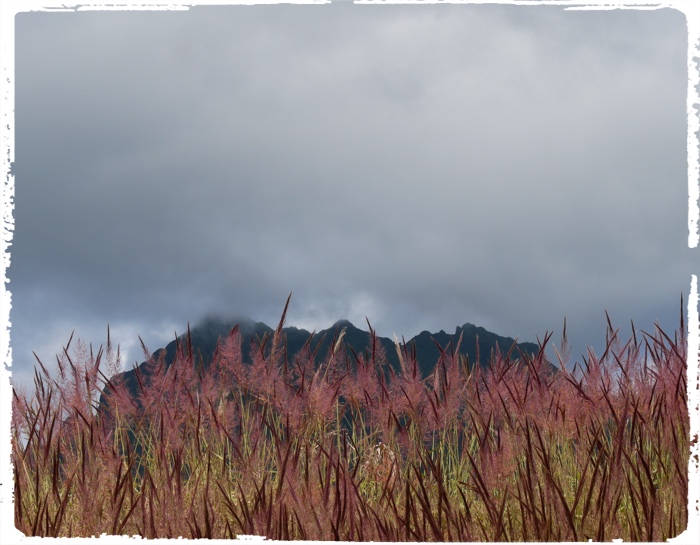 Insane colors of the Fatu Hiva highlands