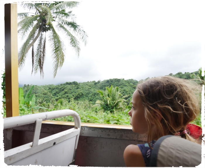 Scenic view from the roller-coaster